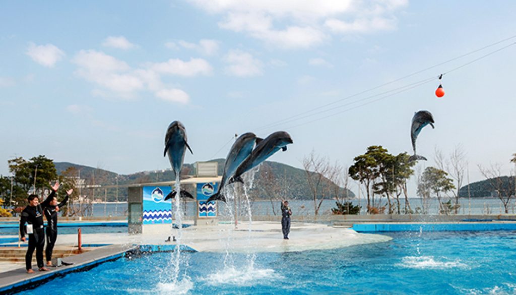 Geoje_seaworld