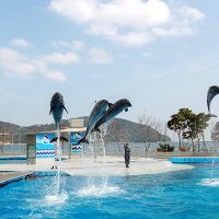 Geoje_seaworld