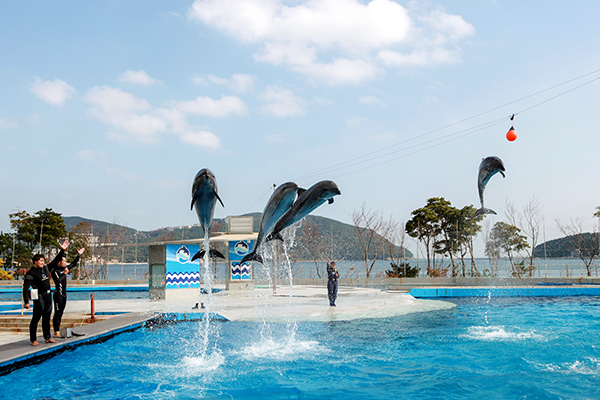 거제씨월드 GEOJE SEA WORLD